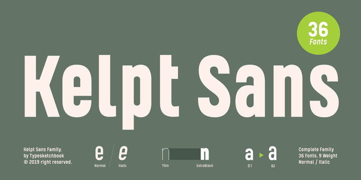 Przykład czcionki Kelpt Sans B1 Thin Italic